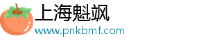上海魁飒