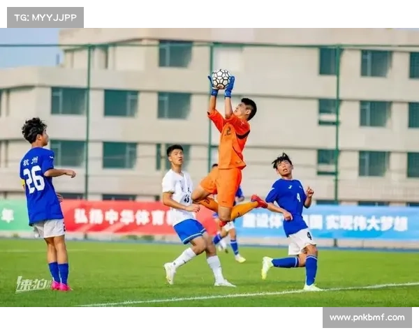 全省体育赛事回眸(全省体育赛事辉煌历程精彩回眸全面总结)