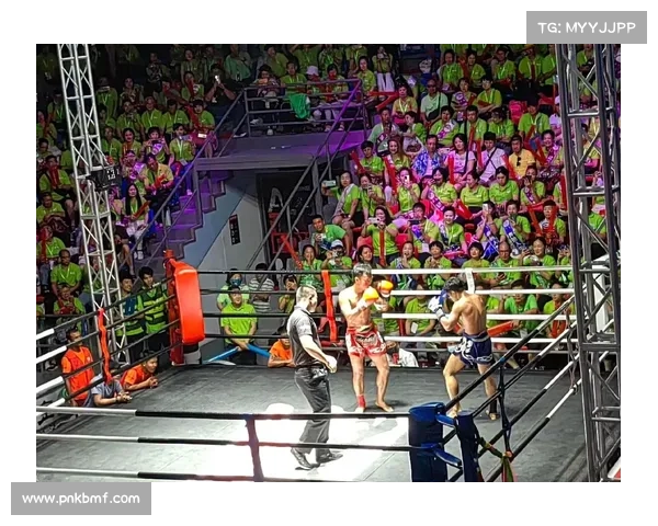 拳击2018赛事、拳击比赛2019