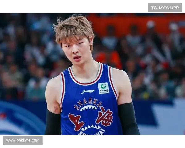 王哲林赛事 王哲林ncaa